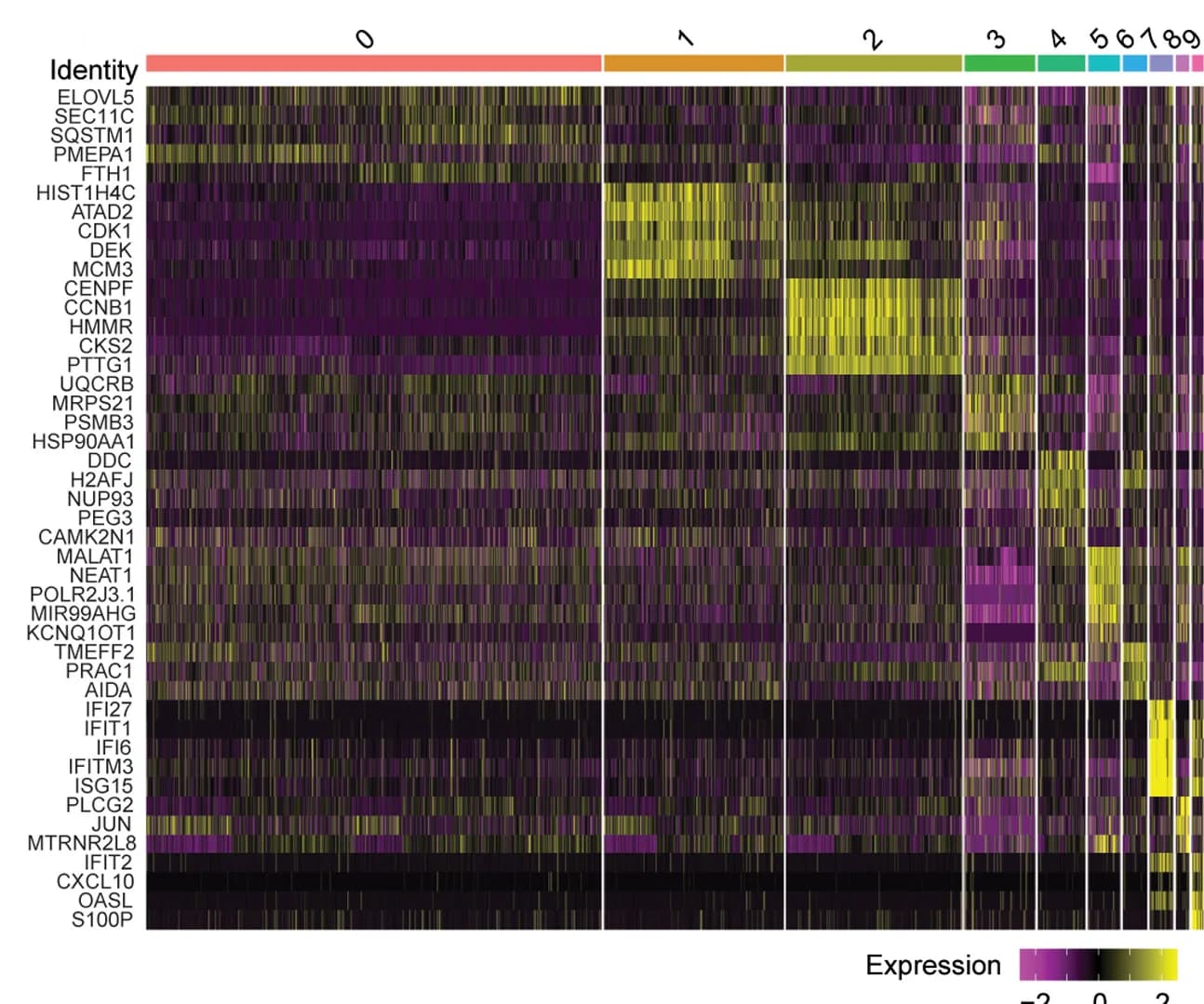 Open access visualization of Heatmap, LNCaP Cell Line, Marker Genes, Clusters