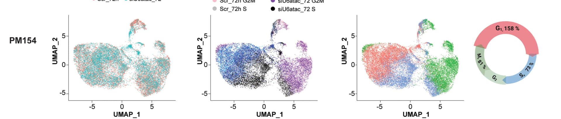 Open access visualization of UMAP, Scatter Plot, Donut Chart, PM154 Cell Line, siScrambled