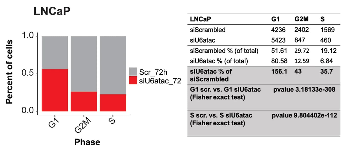 Open access visualization of Stacked Bar Plot, Table Image, Histogram, LNCaP Cell Line, Cell-Cycle Phase