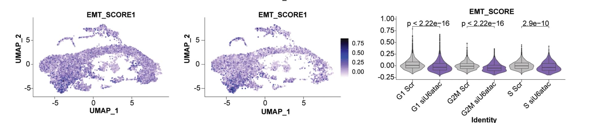 Open access visualization of UMAP, Violin Plot, Box Plot, LNCaP Cell Line, EMT Score