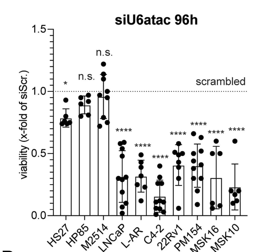 Open access visualization of Bar Plot, Error Bars, Scatter Plot, Cell Viability, PCa Cell Lines