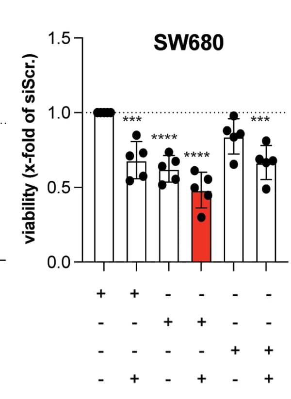 Open access visualization of Bar Plot, Error Bars, Cell Viability, Human Bladder Cancer SW680 Cells, siRNA U6atac