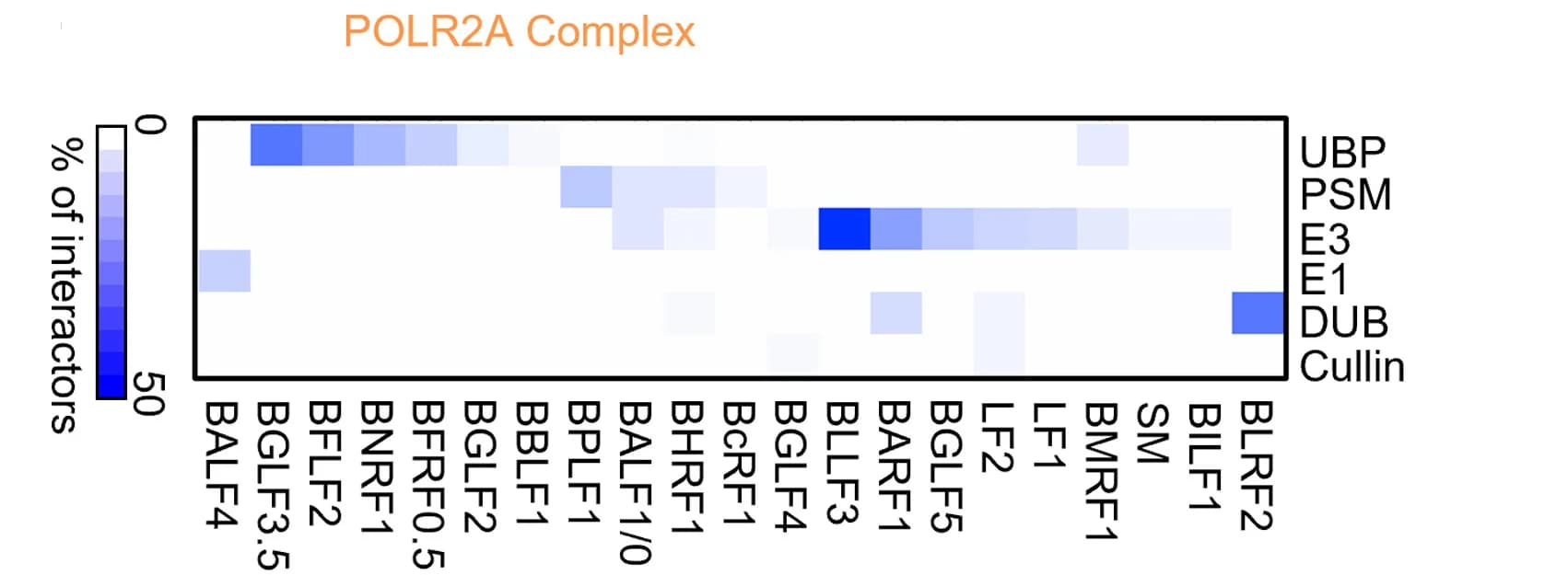 Open access visualization of Heatmap, EBV proteins, Cellular degradation, HCIP, E1 enzymes