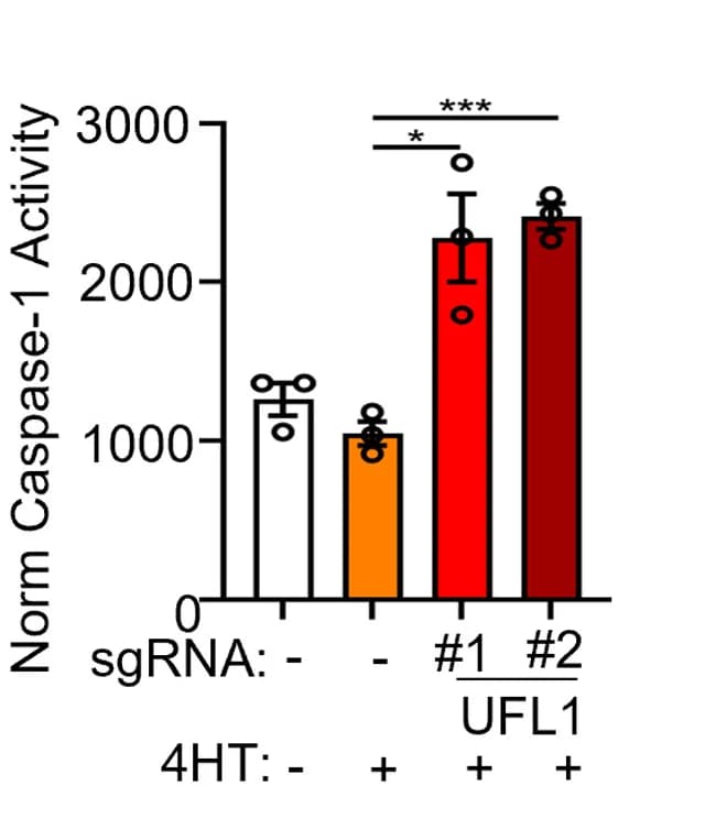 Open access visualization of Bar Plot, Error Bars, Caspase-1 Activity, P3HR-1, sgRNA