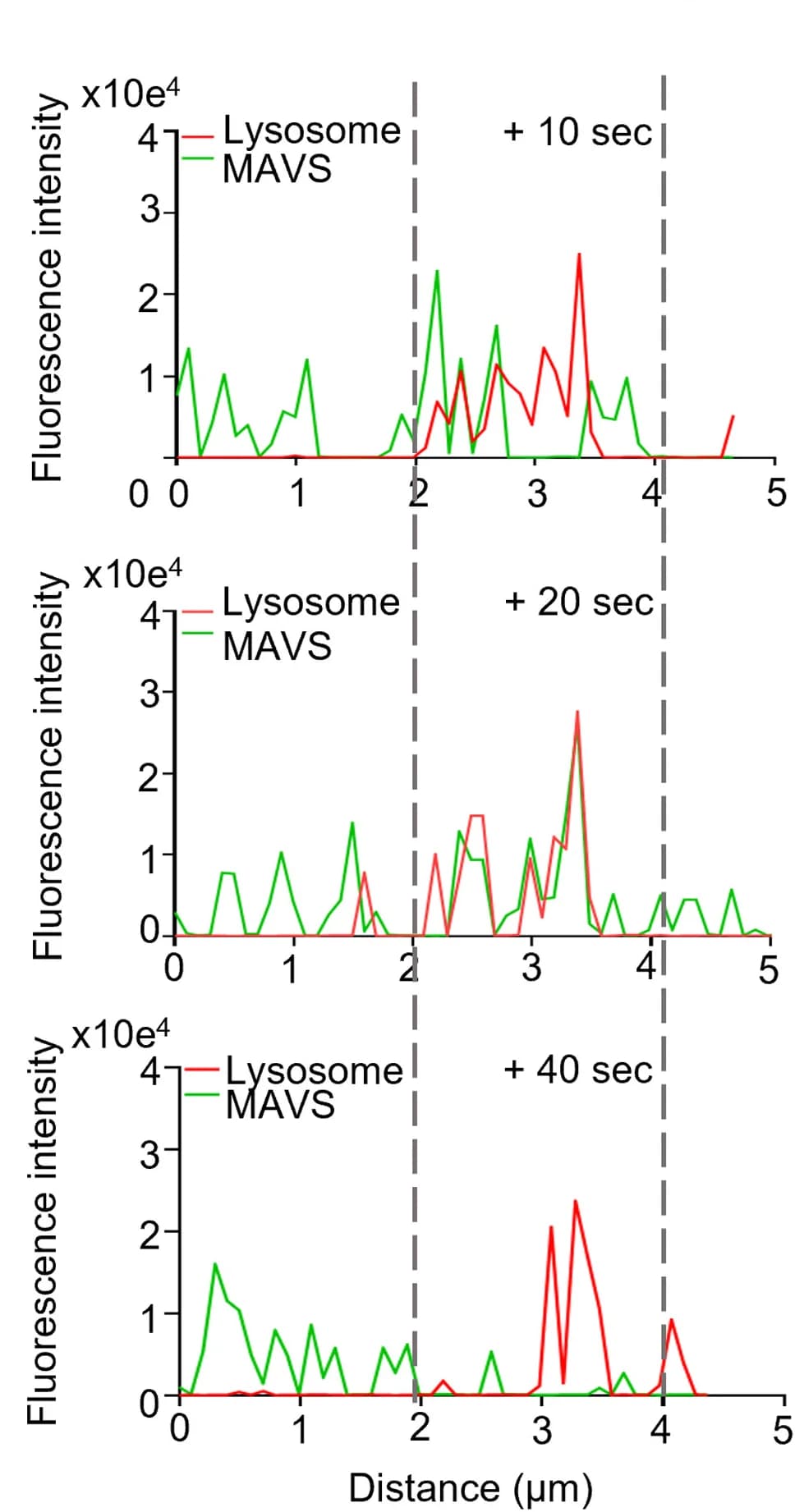 Open access visualization of Line Plot, Fluorescence intensity line scanning, Lysosomes, SIRylo, GFP-MAVS