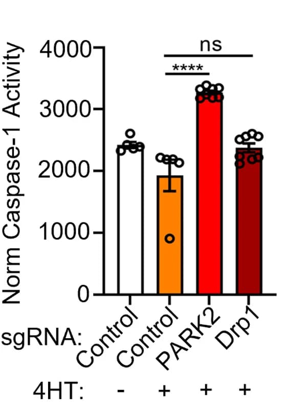 Open access visualization of Bar Plot, Error Bars, Caspase-1 activity, P3HR-1, sgRNA