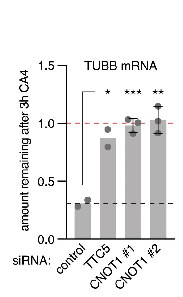 Open access visualization of Bar Plot, Error Bars, Autoregulation Assay, Knockdown, siRNA