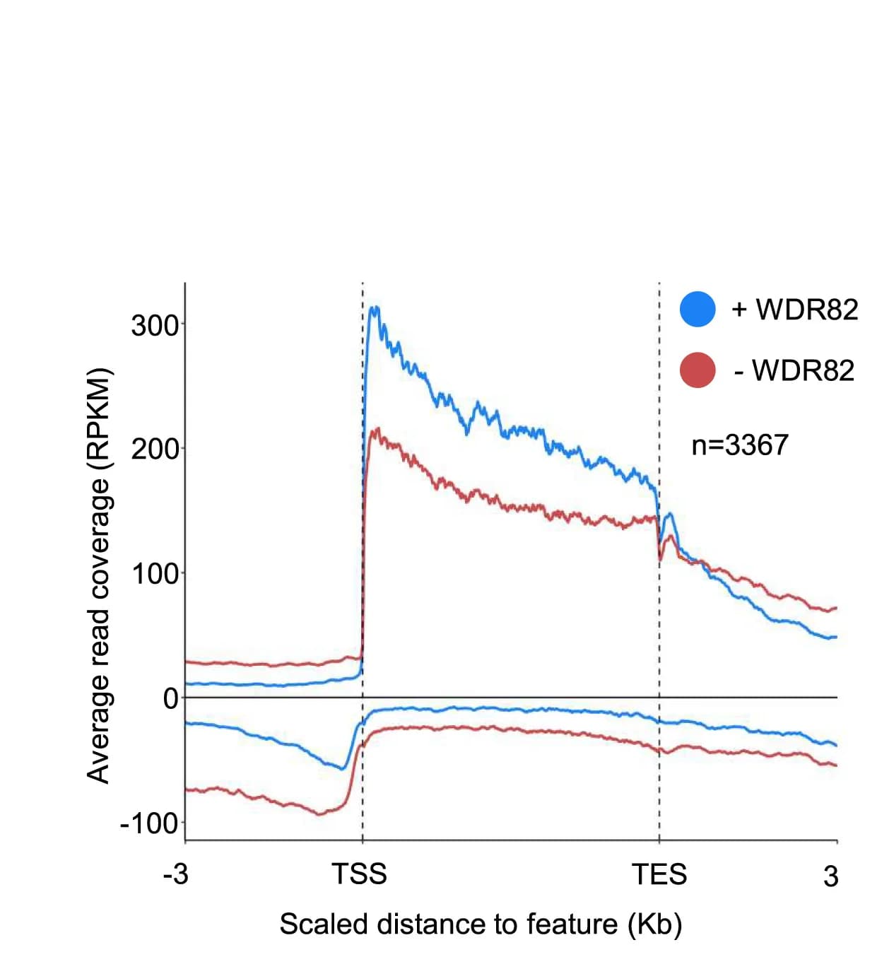 Open access visualization of Line Plot, Meta-Plot, POINT-seq, Protein-Coding Genes, Transcription Units