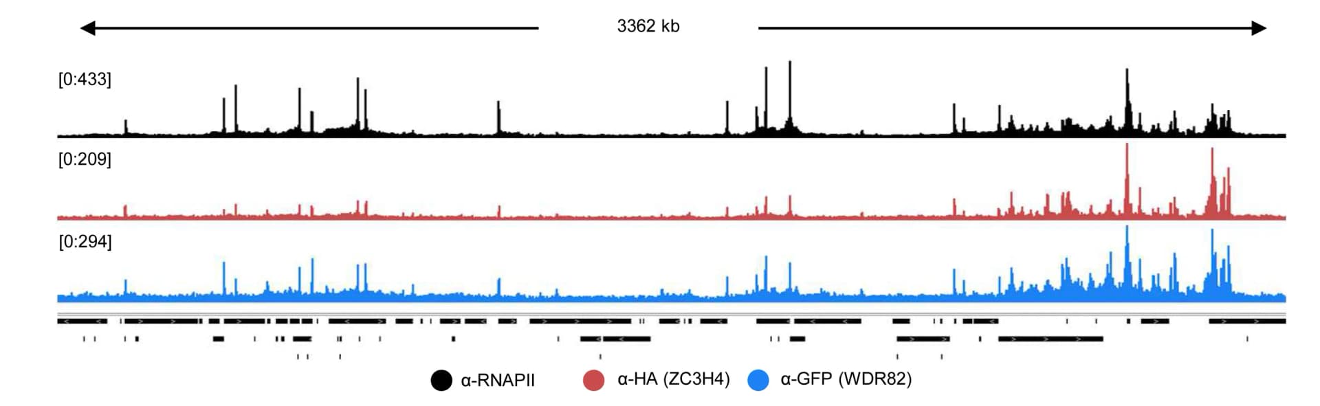 Open access visualization of Line Plot, ChIP-seq, RNAPII, WDR82, ZC3H4