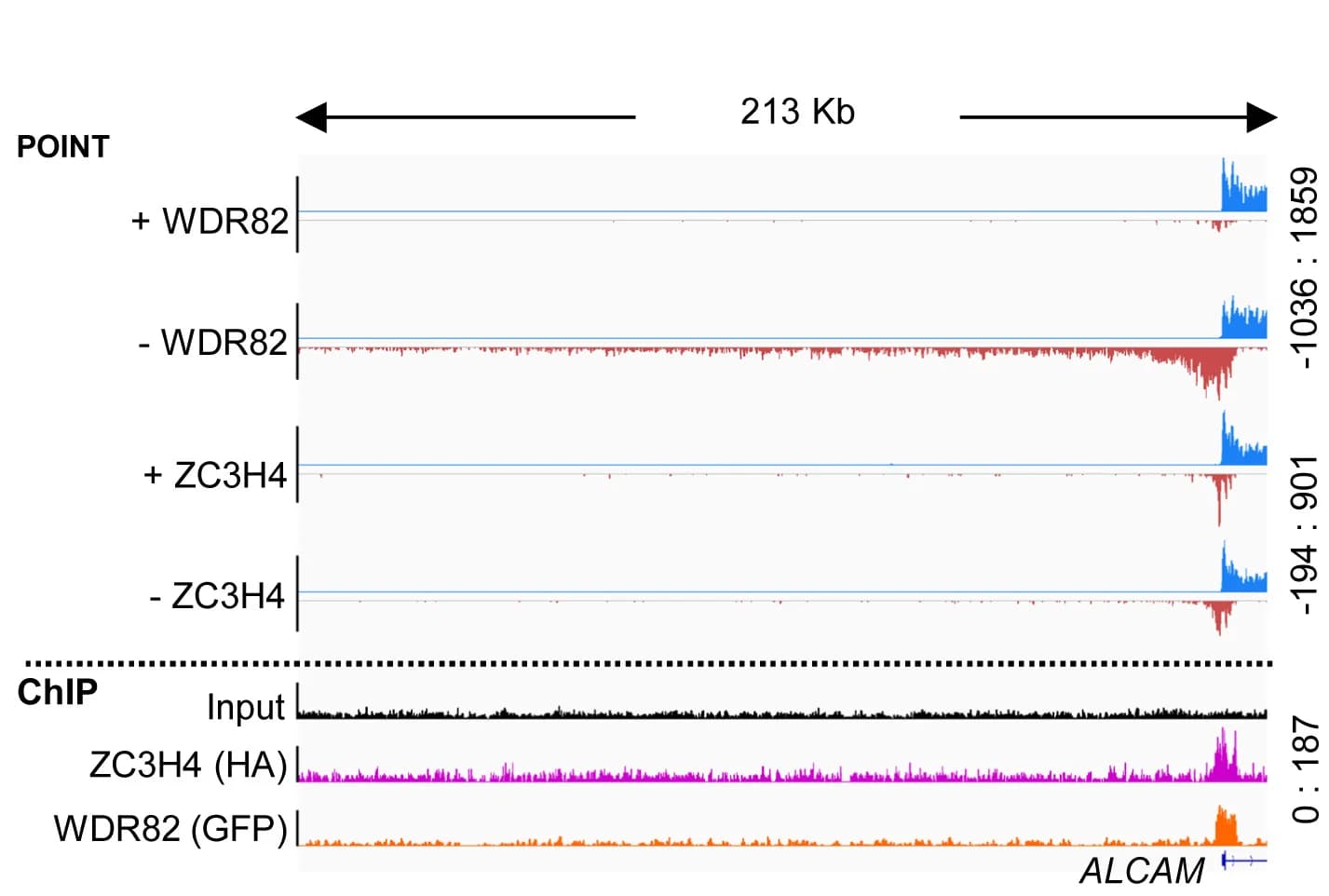 Open access visualization of Line Plot, Density Plot, ALCAM, ZC3H4, WDR82