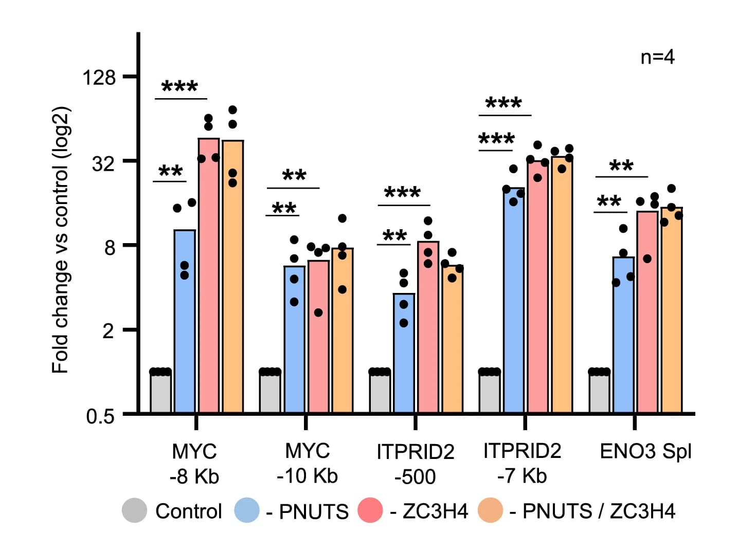 Open access visualization of Bar Plot, Clustered, qRT-PCR, ITPRID2, MYC PROMPT Transcripts