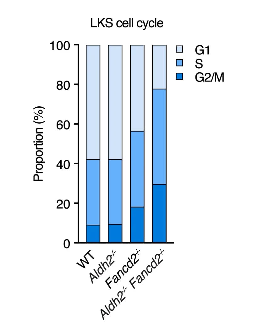Open access visualization of Stacked Bar Plot, LKS Cells, Cell-Cycle Phases, Transcriptome Profile