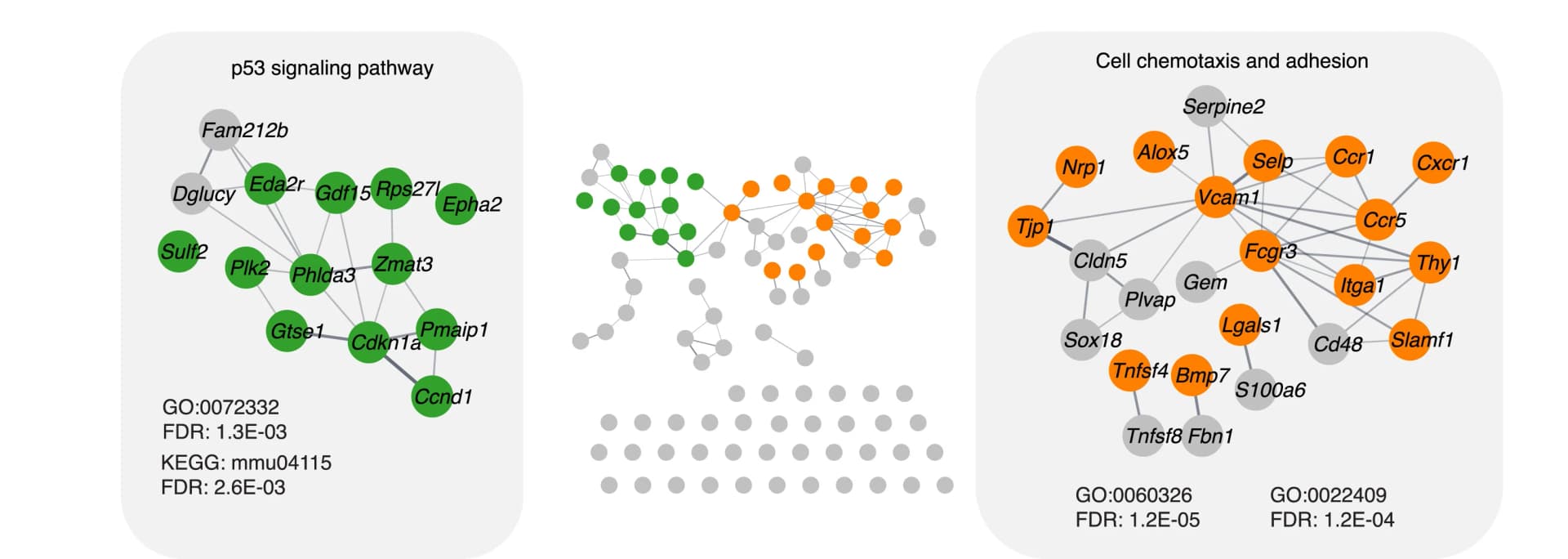 Open access visualization of Network, Pathway, String Network, Upregulated Genes, Cytoscape