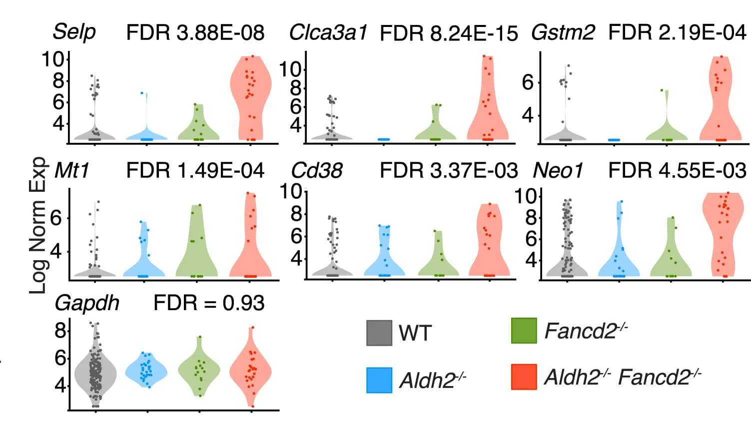 Open access visualization of Violin Plot, Scatter Plot, Aging-Associated Genes, LT-HSCs, Aldh2-/-Fancd2-/-