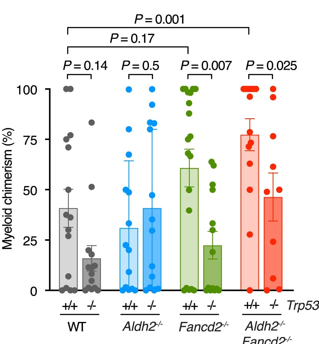 Open access visualization of Bar Plot, Error Bars, Scatter Plot, Myeloid Chimerism, Myeloid Progeny