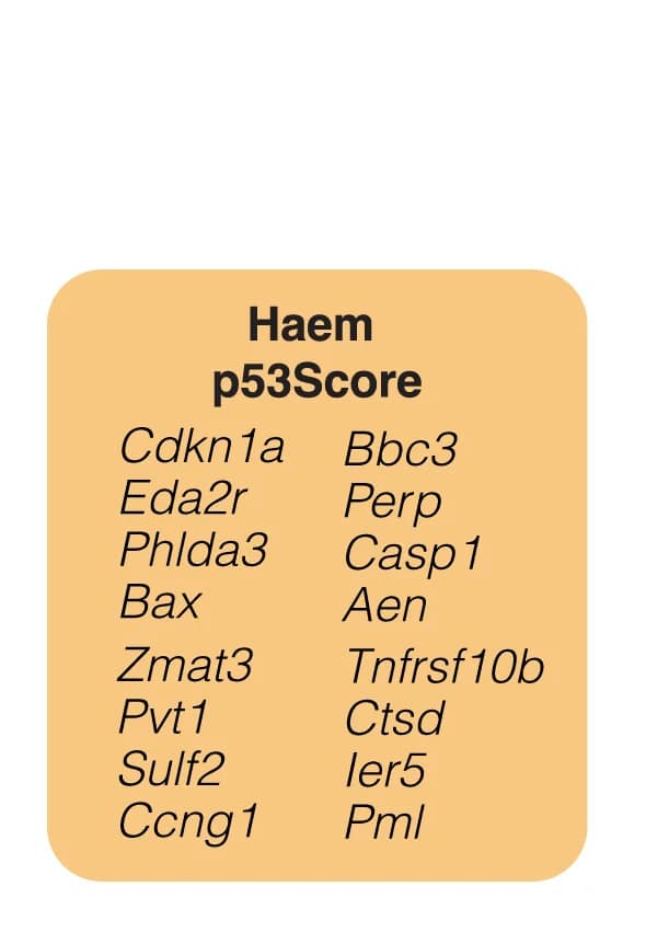 Open access visualization of Table Image, Haem p53Score, Trp53, HSPC, p53 Target Genes
