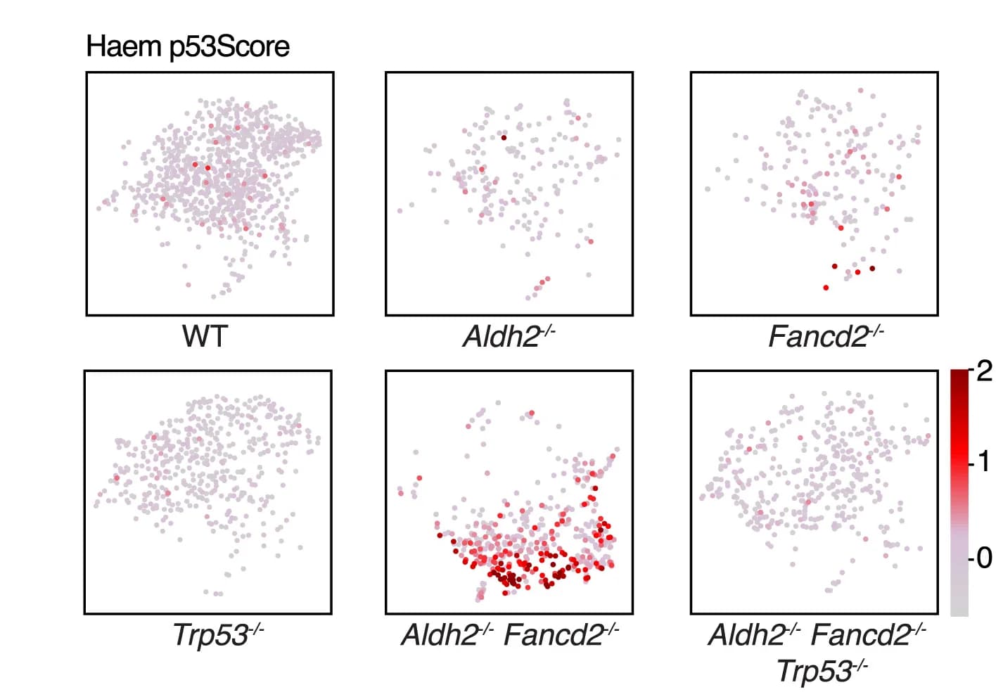Open access visualization of Scatter Plot, Haem p53Score, LKS Transcriptomes, Genotype, UMAP