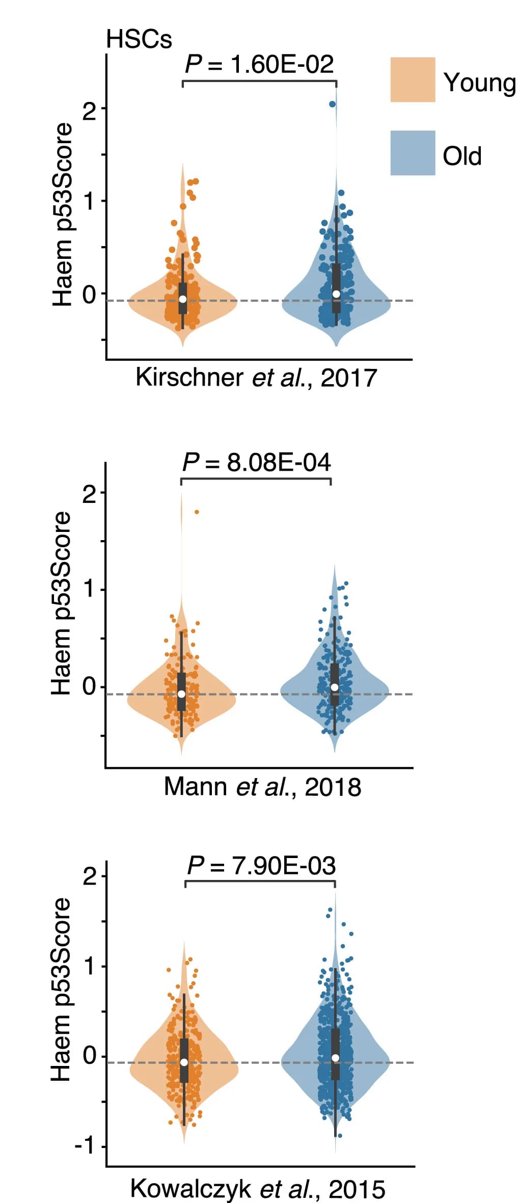Open access visualization of Violin Plot, Box Plot, Scatter Plot, Haem p53Score, Young HSC
