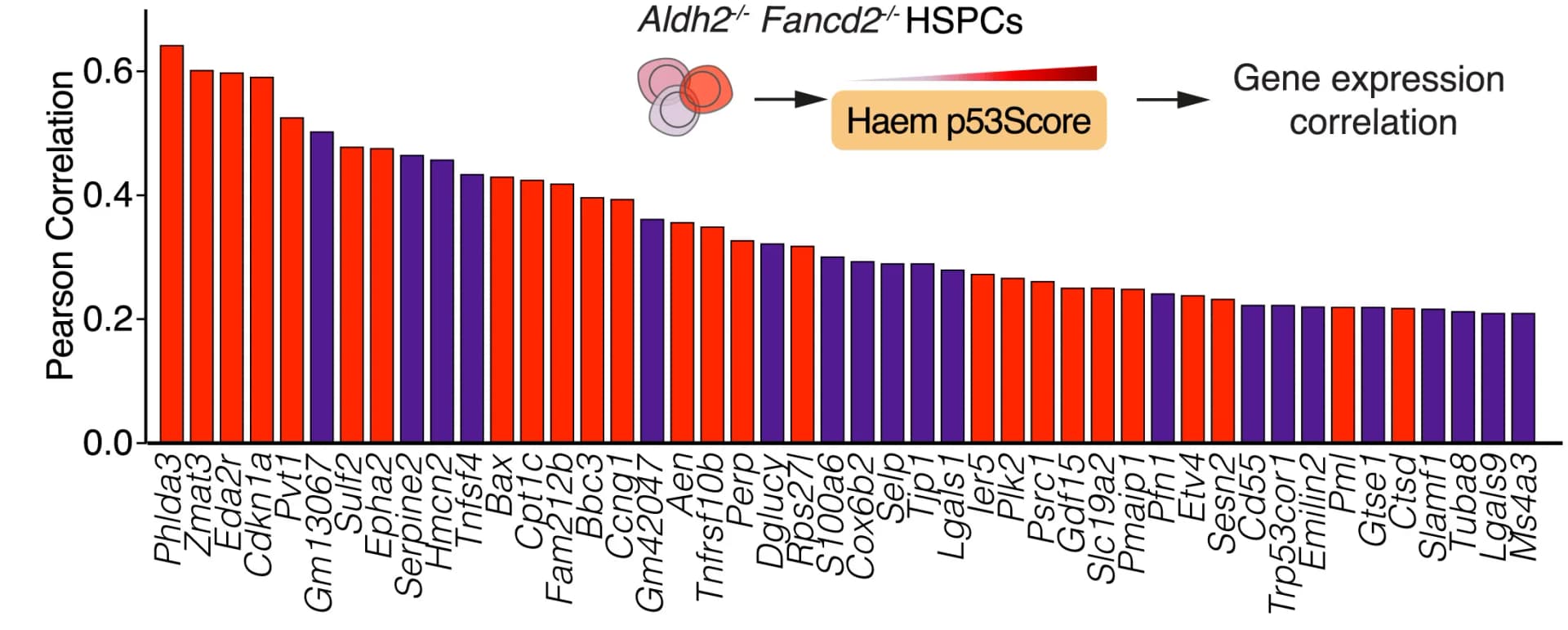 Open access visualization of Bar Plot, Pearson Correlation, Gene Expression, Haem p53Score, Aldh2-/-Fancd2-/-LKS Cells