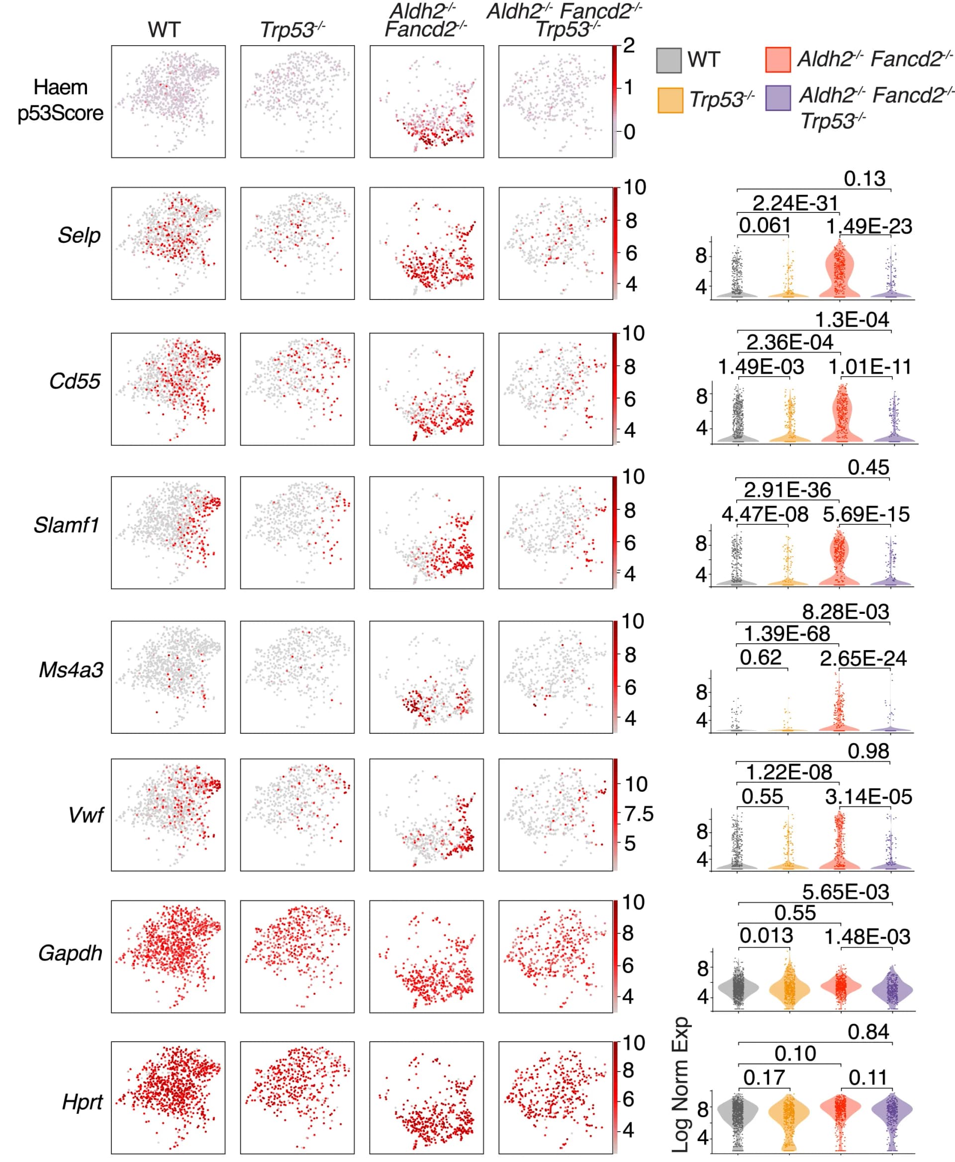 Open access visualization of Scatter Plot, Violin Plot, UMAP, Violin Plots, LKS Cells