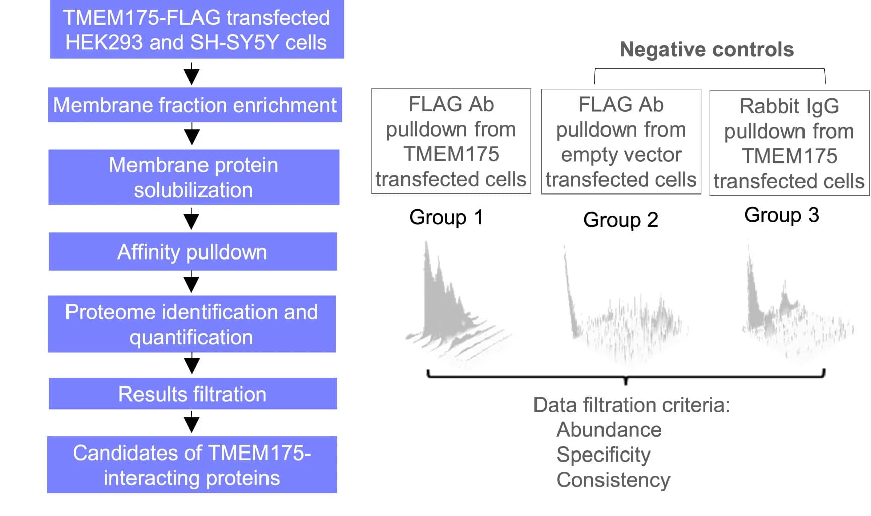 Open access visualization of Workflow, Density Plot, Proteomic Screening, TMEM175