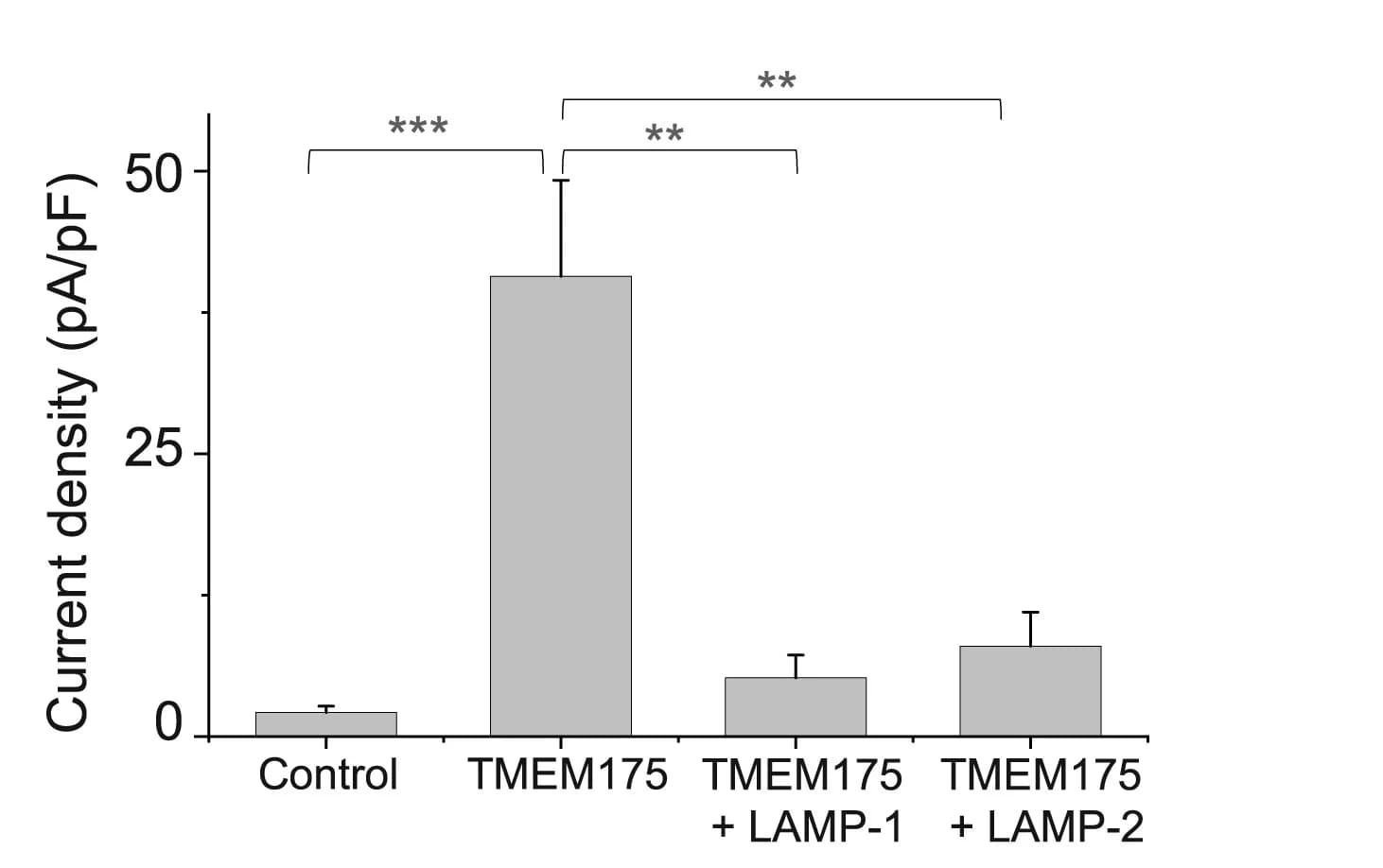 Open access visualization of Bar Plot, Error Bars, Cs+ Current Density, TMEM175, LAMP-1