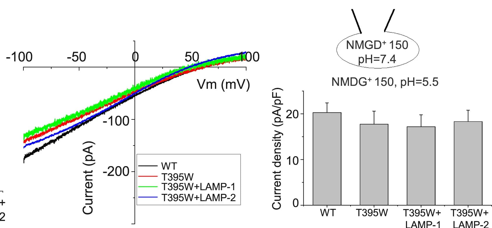 Open access visualization of Line Plot, Bar Plot, Error Bars, I-V curves, Proton current