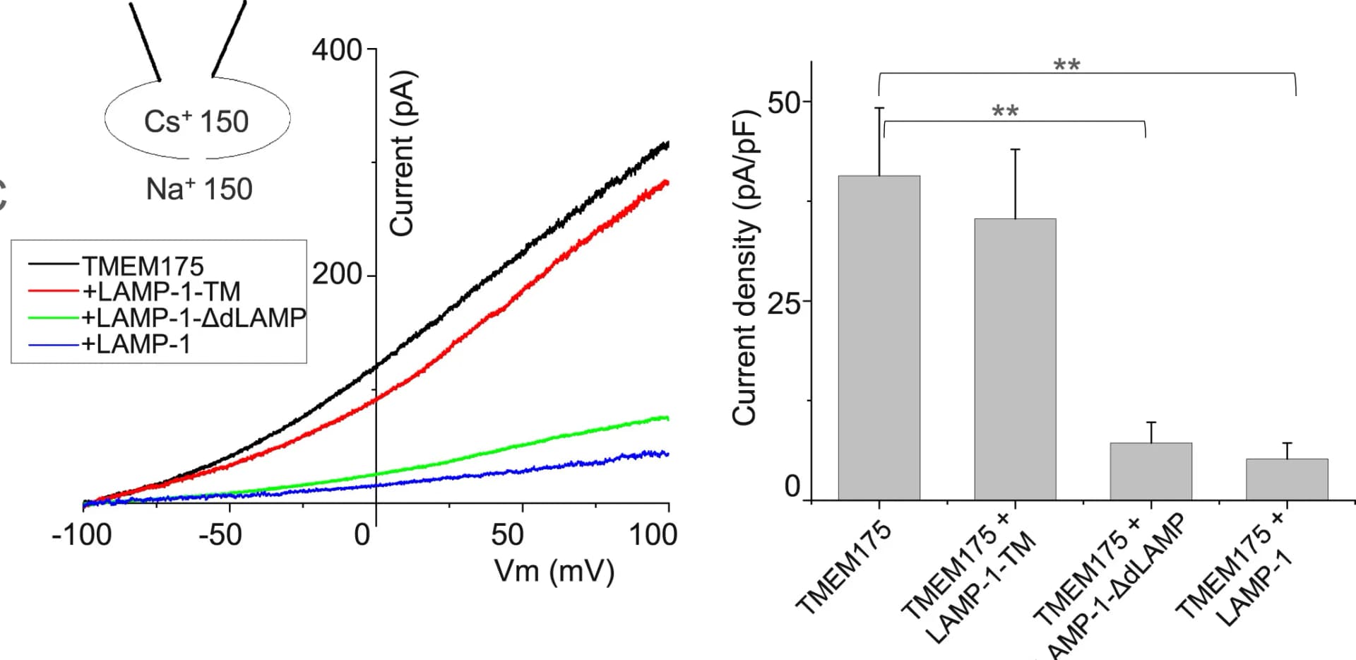 Open access visualization of Bar Plot, Error Bars, Line Plot, I-V Curves, Cs+ current density