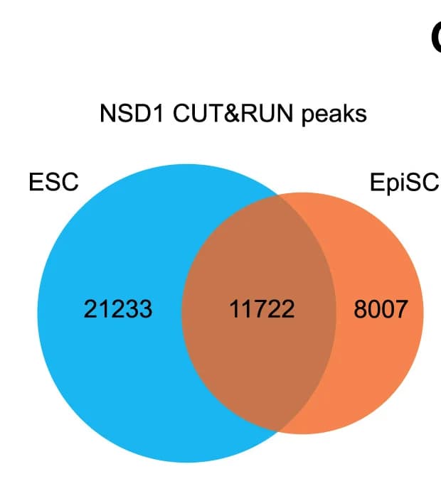 Open access visualization of Venn Diagram, NSD1 peaks, ESCs, EpiSCs