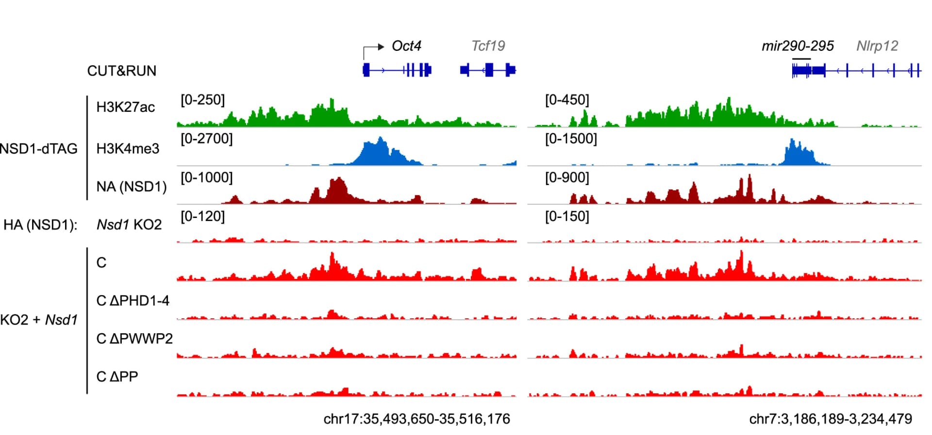 Open access visualization of Line Plot, Genome Browser, NSD1 C