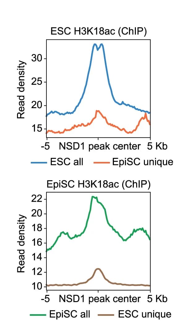 Open access visualization of Line Plot, Average Profile, H3K18ac, ESCs, EpiSCs