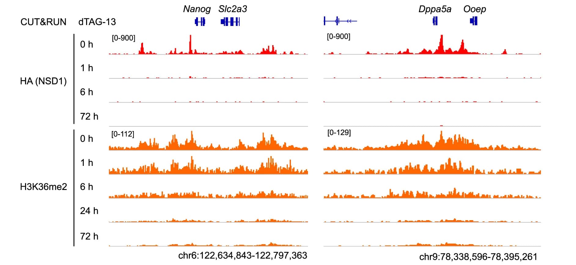 Open access visualization of Line Plot, Genome Browser, NSD1, H3K36me2, Occupancy