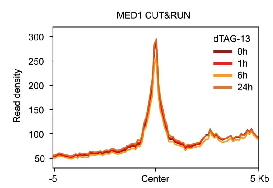 Open access visualization of Line Plot, CUT&RUN, ATAC-seq, NSD1-dTAG, mESCs