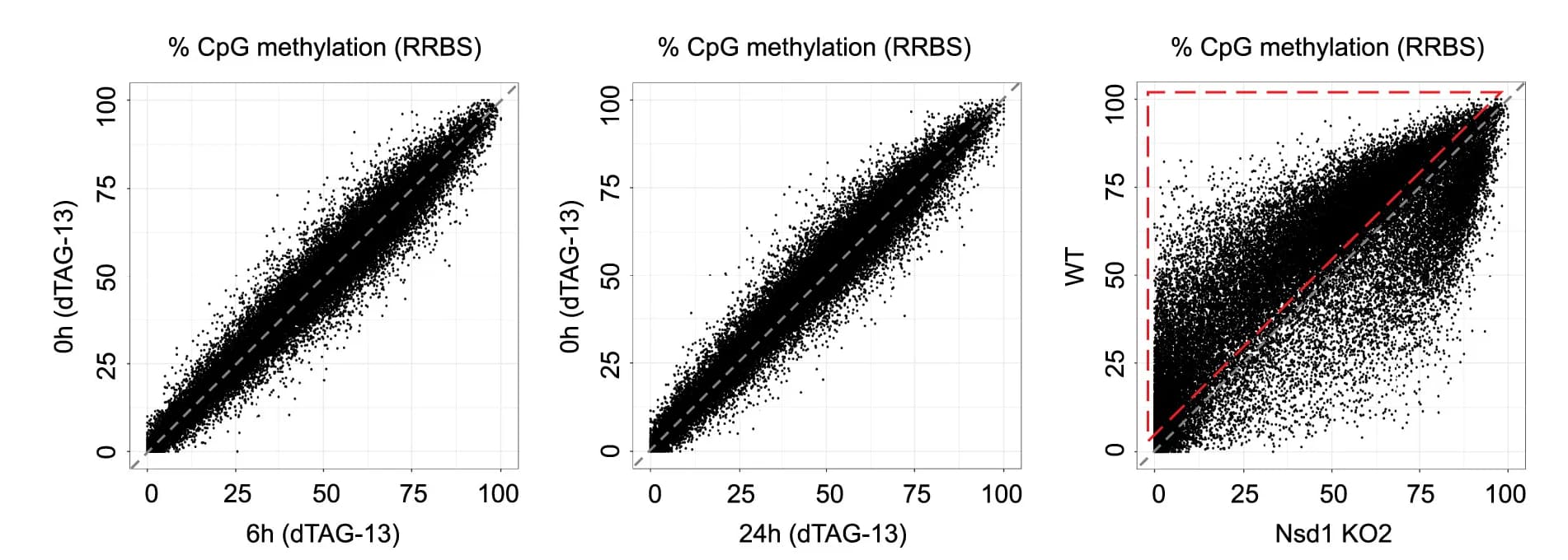 Open access visualization of Scatter Plot, Scatterplots, Genome-wide Correlation, CpG Methylation, NSD1-dTAG