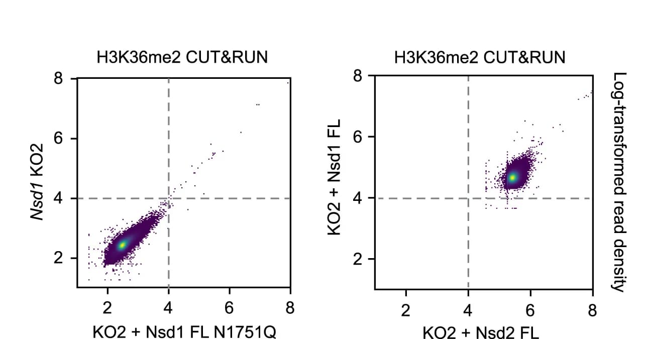 Open access visualization of Scatter Plot, Density Plot, Scatterplots, H3K36me2