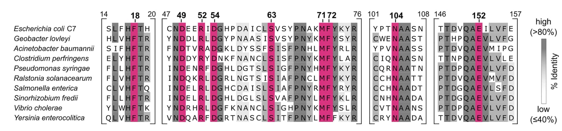 Open access visualization of Heatmap, Multiple sequence alignment, Active-site residues, DarT1