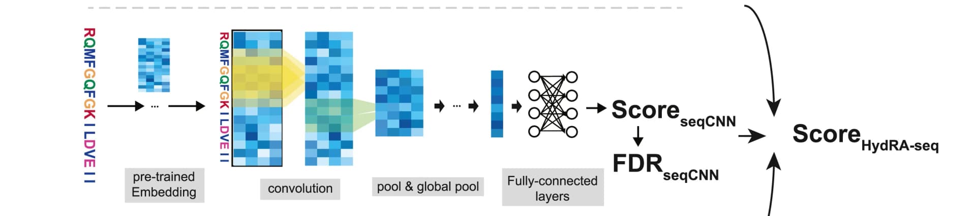 Open access visualization of Workflow, Flowchart, seqCNN, Embedding Layer, Convolutional Layers