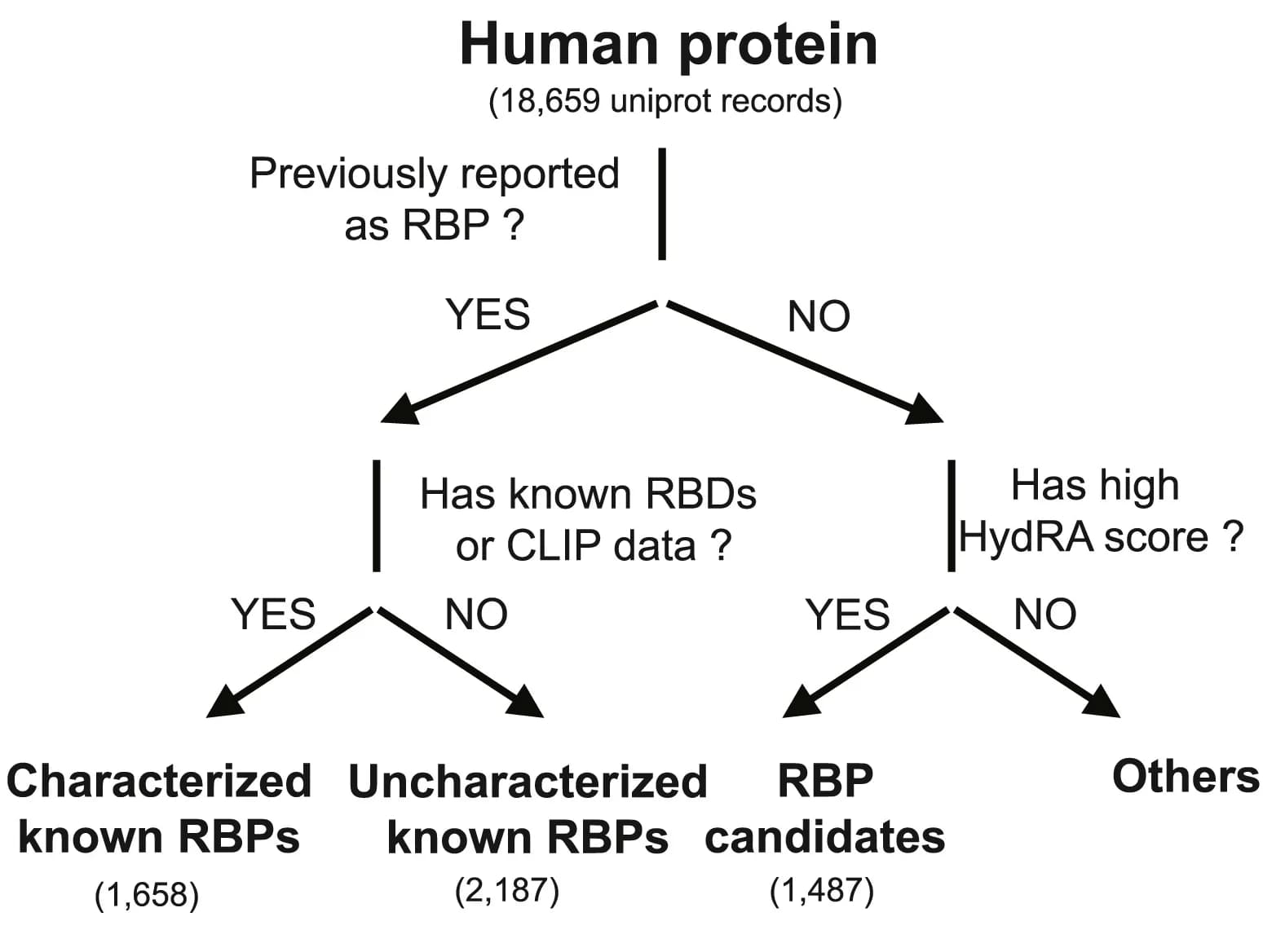 Open access visualization of Flowchart, Human Proteins, Known RBPs, RBP Candidates, HydRA Score