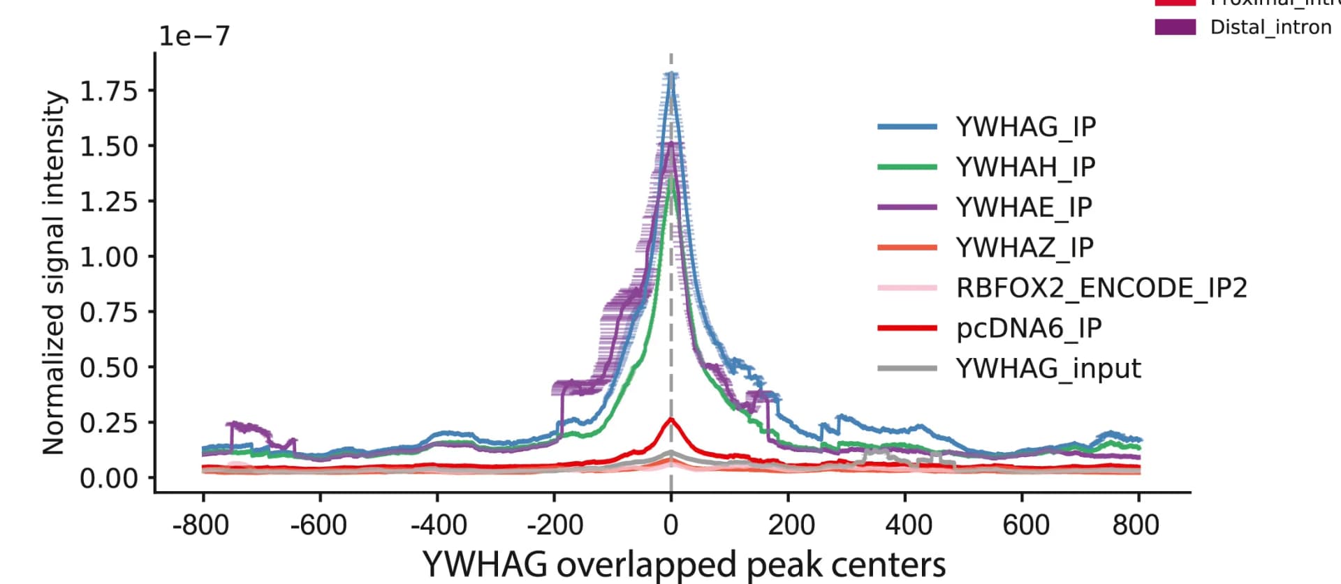 Open access visualization of Line Plot, Error Bars, Read Density, YWHAG, YWHAH