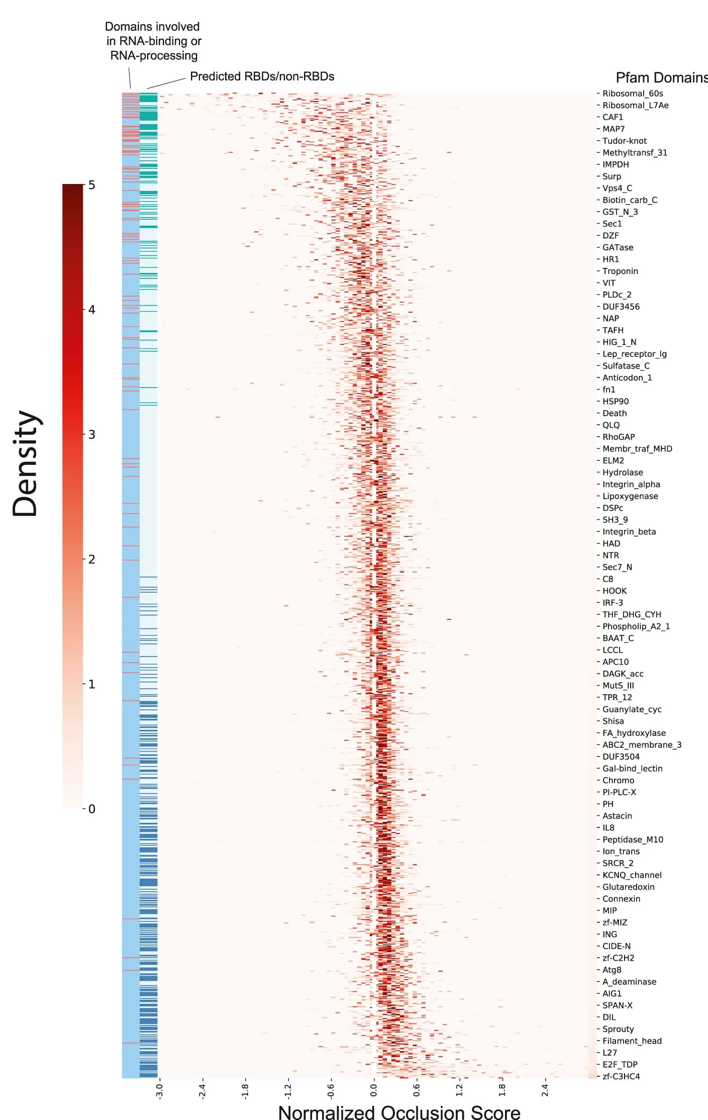Open access visualization of Heatmap, Occlusion Scores, Human Protein Domains, RNA Binding Domains, RNA Processing Domains