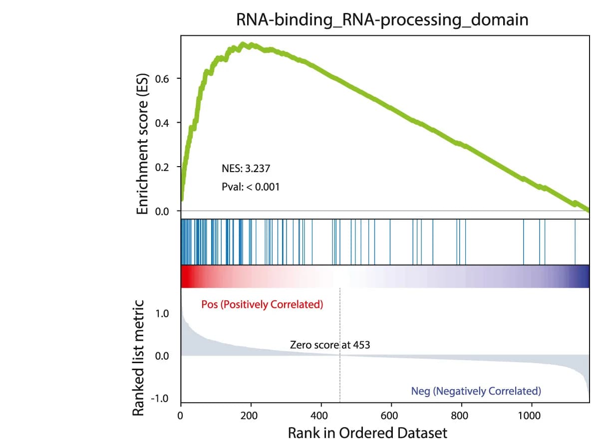 Open access visualization of Line Plot, Bar Plot, GSEA Analysis, RNA Binding Domains, RNA Processing Domains