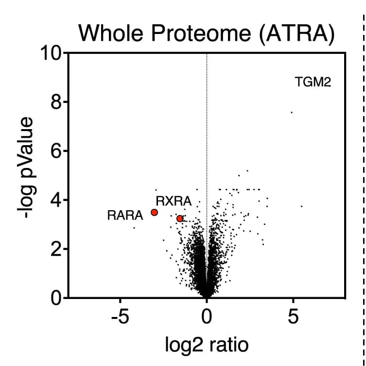 Open access visualization of Volcano Plot, Proteomics, NB4 Cells, ATRA Treatment