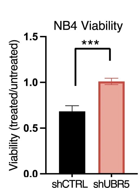 Open access visualization of Bar Plot, Error Bars, Cell Viability, NB4 Cells, shRNAs
