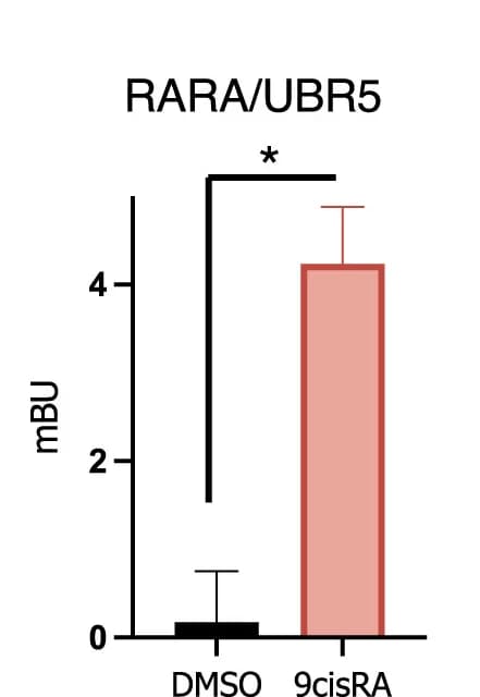 Open access visualization of Bar Plot, Error Bars, BRET Assay, RARA, UBR5