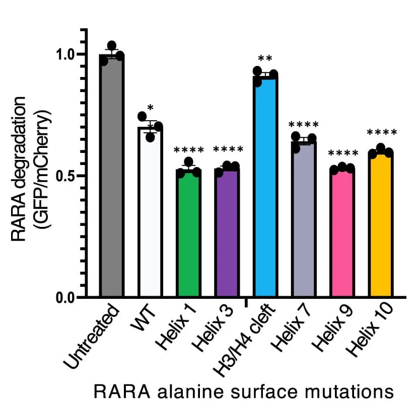 Open access visualization of Bar Plot, Error Bars, RARA Reporters, Alanine Mutations, Protein Degradation