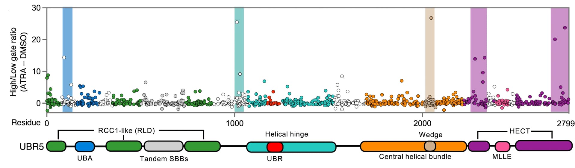 Open access visualization of Scatter Plot, UBR5, RARA-GFP, Reporter degradation, Domain map