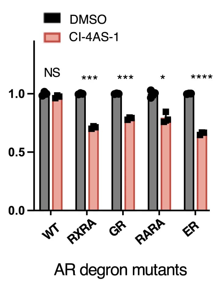 Open access visualization of Bar Plot, Clustered, Fluorescent androgen receptor, AR, Hydrophobic cleft