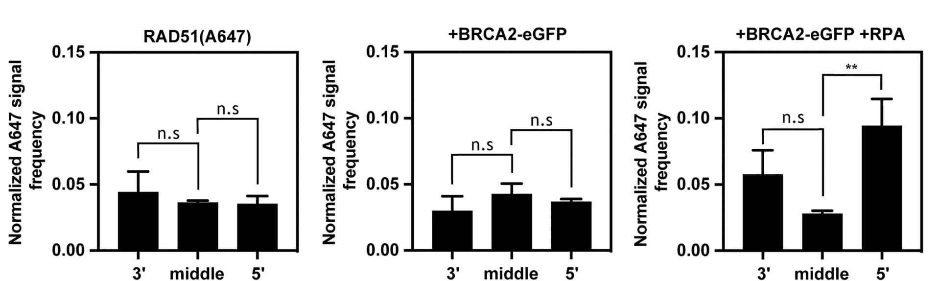 Open access visualization of Bar Plot, Error Bars, ds-ssDNA junction, ssDNA, A647 signal