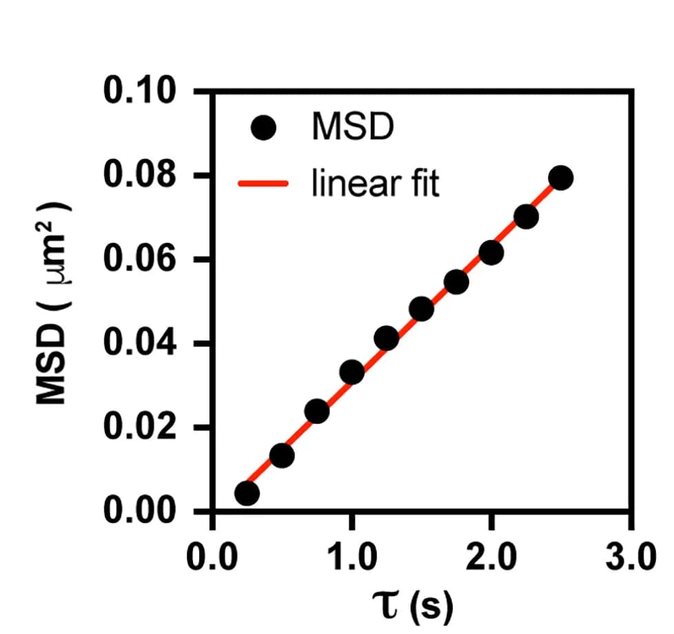 Open access visualization of Scatter Plot, Regression Plot, MSD analysis, BRCA2-eGFP molecule, dsDNA
