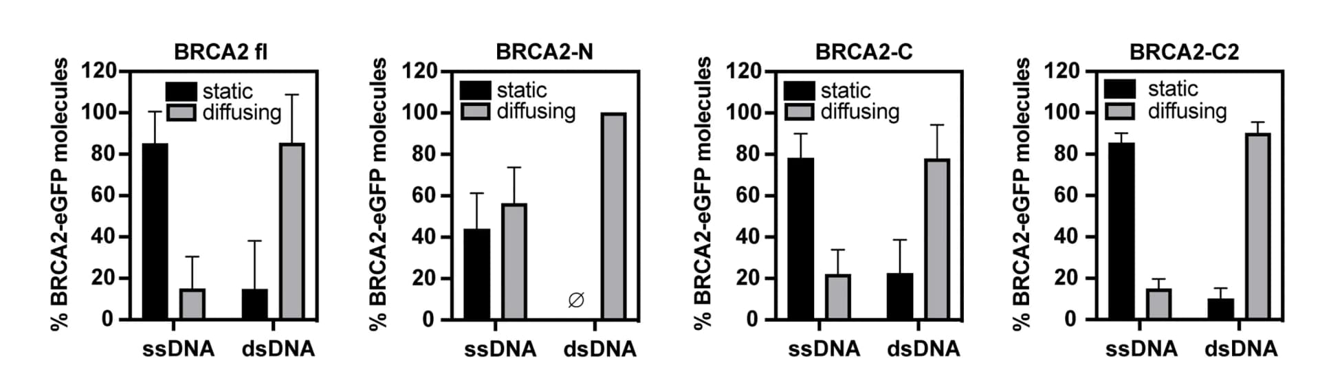 Open access visualization of Bar Plot, Error Bars, Clustered, BRCA2-eGFP, ssDNA